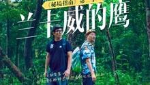红塔证券2023年业绩预告：归母净利润3.12亿元 同比增长710.57%