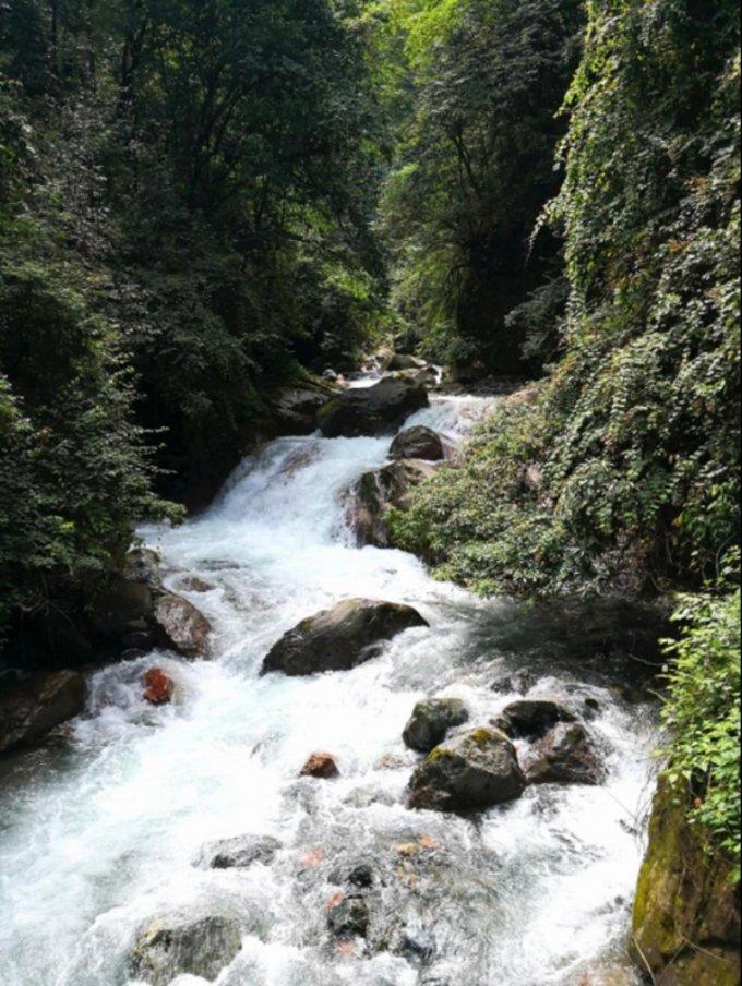 逆水寒